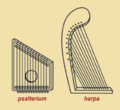 Psalterium harpa.png